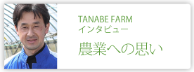 株式会社TANABE FARM
