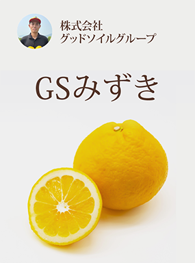 GSみずき