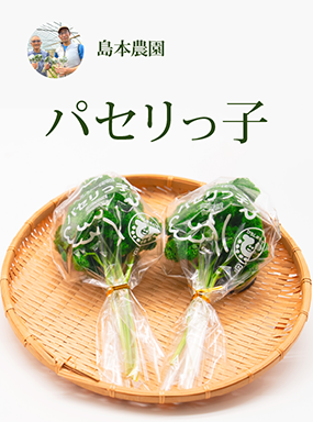 パセリっ子