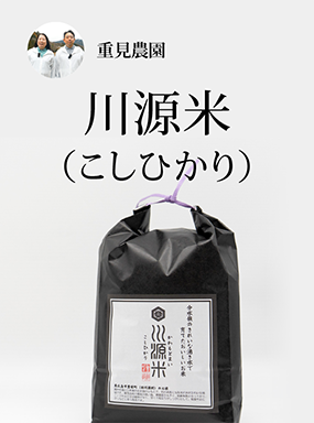 川源米（こしひかり）