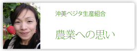 沖美ベジタ有限会社