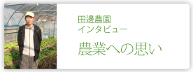 田邊農園株式会社