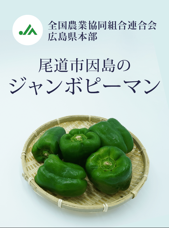 尾道市因島のジャンボピーマン|チア！ひろしま 広島県産応援登録制度