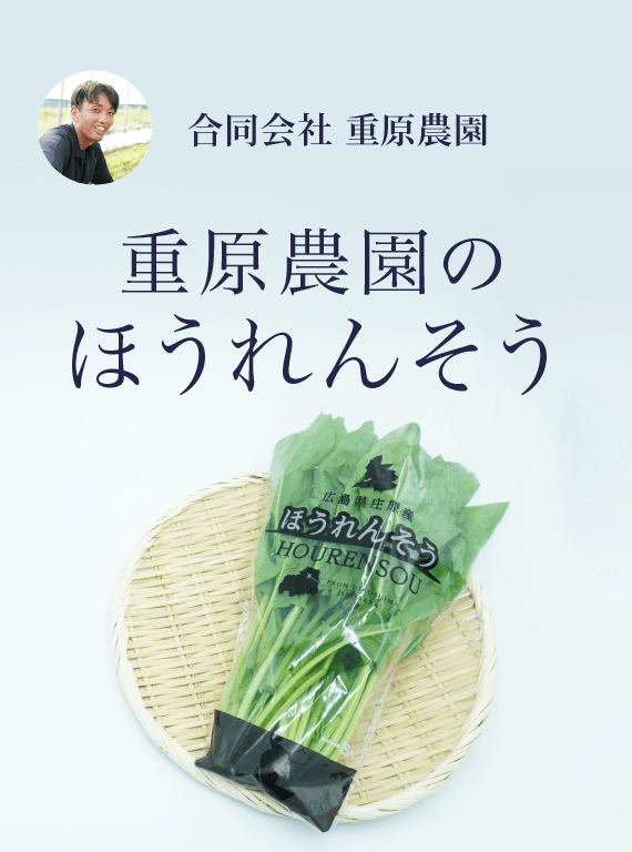 重原農園のほうれんそう|チア！ひろしま 広島県産応援登録制度