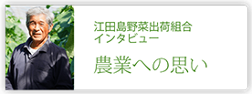 江田島野菜出荷組合