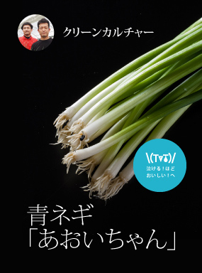 青ネギ『あおいちゃん』|チア！ひろしま 広島県産応援登録制度