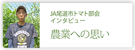 JA尾道市トマト部会
