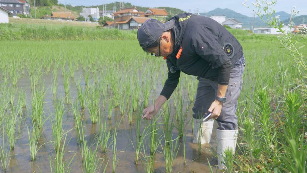 ふぁーむたかちゃんち|チア！ひろしま 広島県産応援登録制度