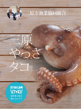 三原やっさタコ|チア！ひろしま 広島県産応援登録制度