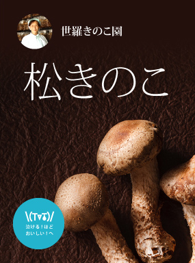 松きのこ|チア！ひろしま 広島県産応援登録制度