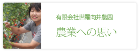 有限会社世羅向井農園