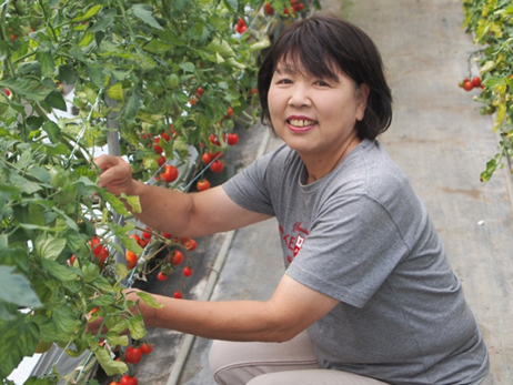 有限会社世羅向井農園|チア！ひろしま 広島県産応援登録制度